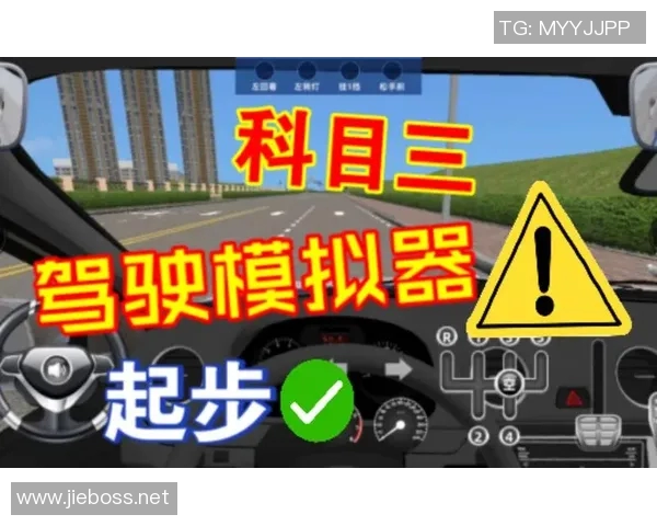 姚明科目三驾考经历分享与技巧解析让你轻松通过考试